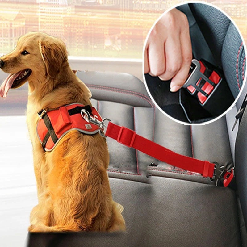 Pet Car Seat Belt Product