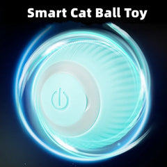 Electric Cat Ball