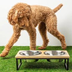 Wood & Metal Elevated dog Feeder